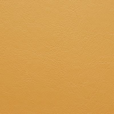 Panaz Aston Mustard