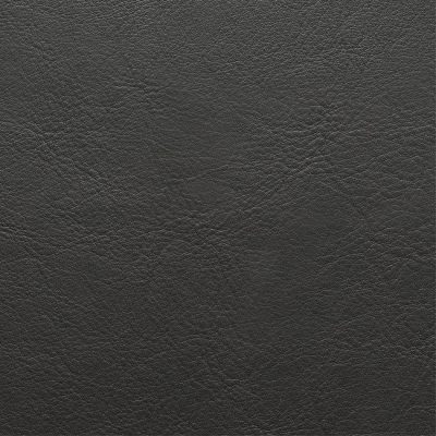Panaz Aston Graphite