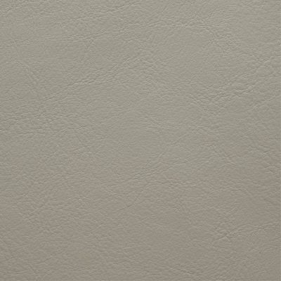 Panaz Aston Platinum