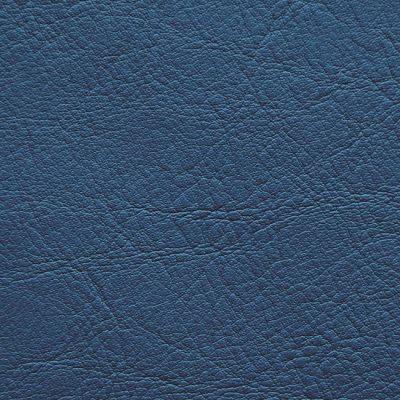 Panaz Aston blue