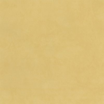 PanazVoyage Wheat