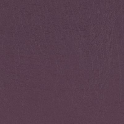 AguaTaurus Plum