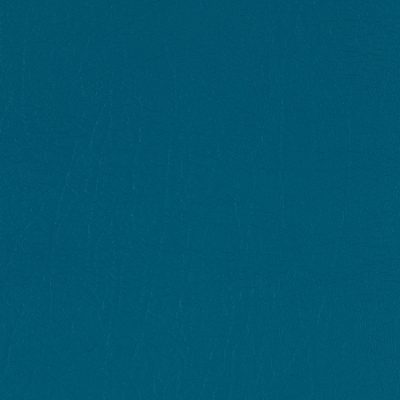 AguaTaurus Teal