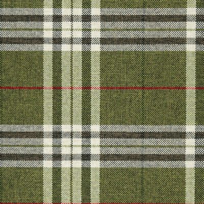 PanazHunter Check Sage Green