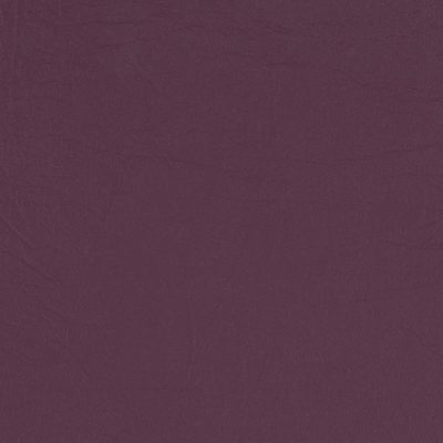 AguaTaurus Aubergine